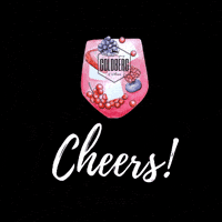 Cheers Drinks GIF by GOLDBERG & SONS