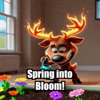 elkijahspark flowers spring garden elkijahspark GIF
