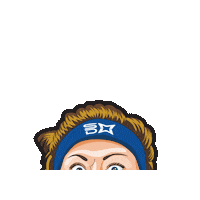 Sdmw Sticker by Skydive Midwest