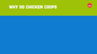 Chicken Coups