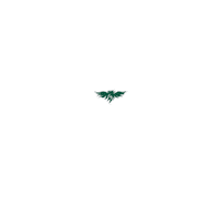 Green Bay Gb Sticker by Green Bay Phoenix