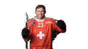 Celebrate National Team Sticker by Swiss Ice Hockey