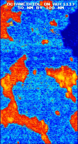 bcq giphygifmaker GIF