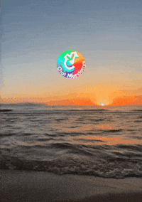 Sol Amigos GIF by Murcianys LLC