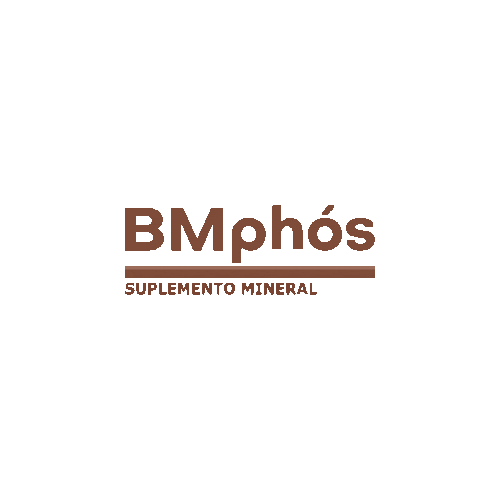 barracamissoes giphyupload bmphos Sticker