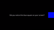 GIF by Jewish Federation of Greater MetroWest NJ