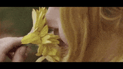 Charity Sunflower GIF by The Head And The Heart