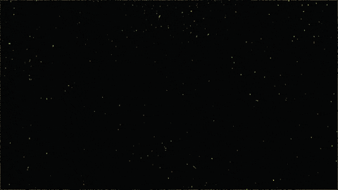fire bran dougherty-johnson GIF by Yule Log 2.015