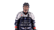 Halley Sticker by Les Ducs d'Angers