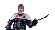 Halley Sticker by Les Ducs d'Angers