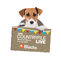 Dog Blacksonline Sticker by Blacks Outdoors