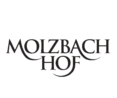 naturhotelmolzbachhof giphyupload logo sterne schrift Sticker