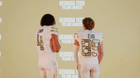 Georgia Tech Football Sport GIF by Georgia Tech Yellow Jackets