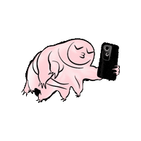 Star Selfie Sticker by ARTEfr