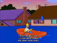 homer simpson GIF
