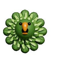 Parrot Dancing Sticker by Evan Hilton