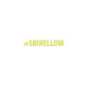 Beer Beverage Sticker by birellofficial