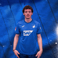 Sport Bundesliga GIF by TSG Hoffenheim