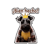 Schnauzer Sticker