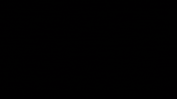 Action Sports Skate GIF by Nitro Circus