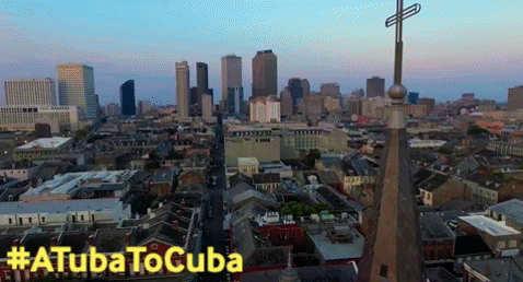 new orleans film GIF by Blue Fox Entertainment