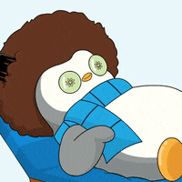 Excuse Me What GIF by Pudgy Penguins