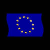 Eu Union GIF by Youth Projects Group