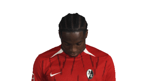 Look Up Sc Freiburg Sticker by Bundesliga