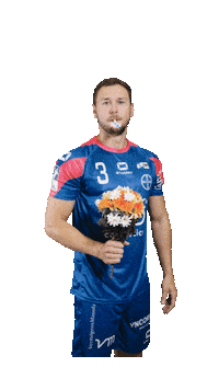 Handball Sticker by TSV Bayer Dormagen