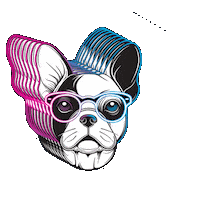 Sticker by SPARK concept