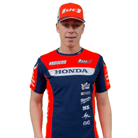 Top Boiserie Sticker by Luc1