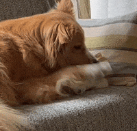 FeinrippStudios side eye sorry not sorry sideeye sorrynotsorry GIF