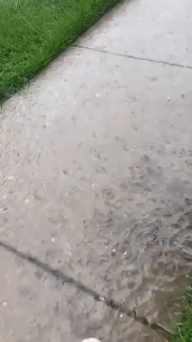 Backyards and Sidewalks Flooded as Severe Weather Hits Chicago