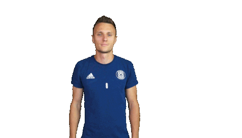 football thumbs up Sticker by 1. fotbalová liga