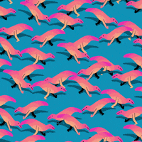 GIF by Neil Sanders