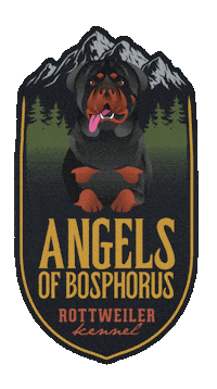 Rottweiler Sticker by TİGADA