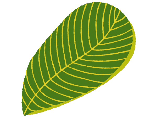 Summer Flower Sticker