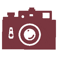 Photo Shoot Sticker Sticker by Packd Bags