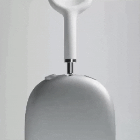 salomonthebest giphyupload GIF