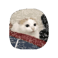 Confused Sticker