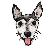 Dog Sticker