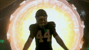 Football Nfl GIF by New York Jets