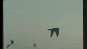 Happy Music Video GIF by Maren Morris