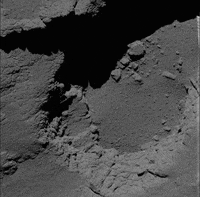 black and white animation GIF