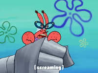 season 4 enemy in-law GIF by SpongeBob SquarePants
