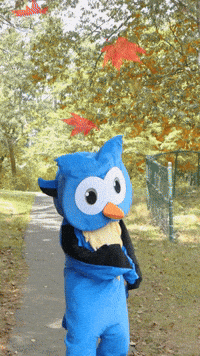 School Celebrate GIF by Middlesex Community College