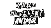 Wda Sticker