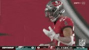 National Football League GIF by NFL