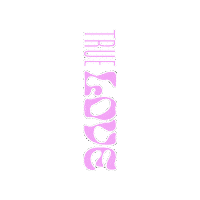 True Love Sticker by WSOYkirjat
