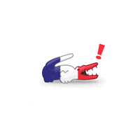 France What GIF by LACOSTE